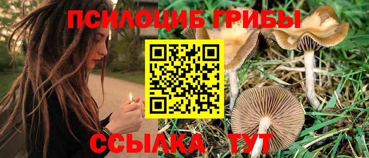 Галлюциногенные грибы мухоморы Лесозаводск